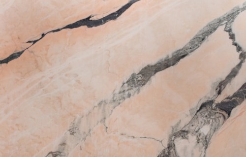 Роса Португало 20 мм 2684 блок